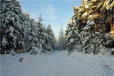 《街霸6》举行第二届插画大赛 获奖作品将游戏内实装